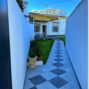 Girasol , Málaga España